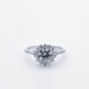 Product Name 22 ring 04 a